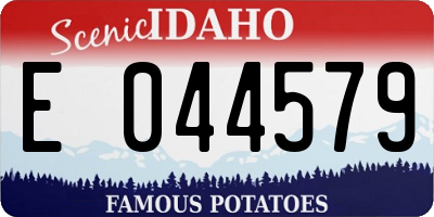 ID license plate E044579