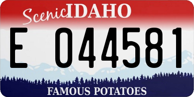 ID license plate E044581