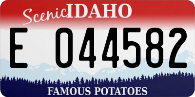 ID license plate E044582