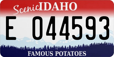ID license plate E044593