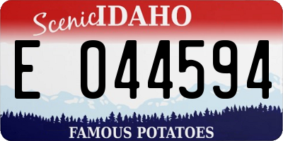 ID license plate E044594