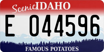 ID license plate E044596