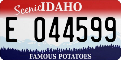 ID license plate E044599