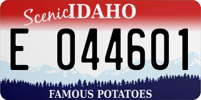 ID license plate E044601