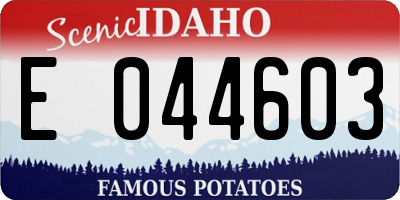 ID license plate E044603