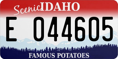 ID license plate E044605
