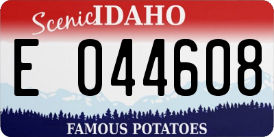 ID license plate E044608