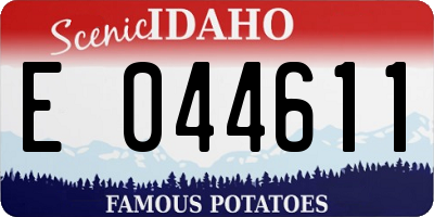 ID license plate E044611