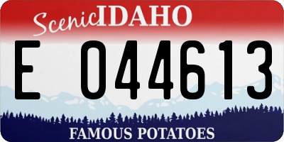 ID license plate E044613