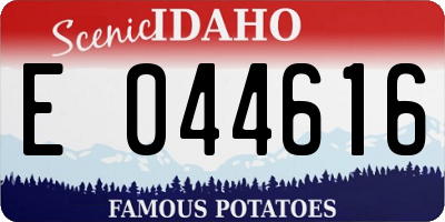 ID license plate E044616