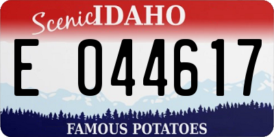 ID license plate E044617