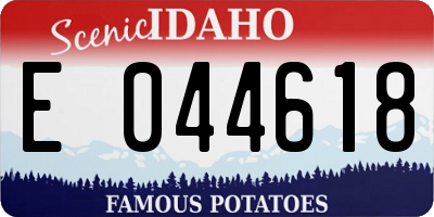 ID license plate E044618