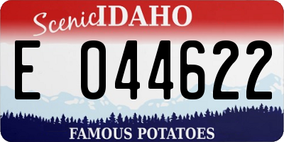 ID license plate E044622