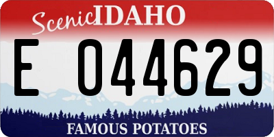 ID license plate E044629