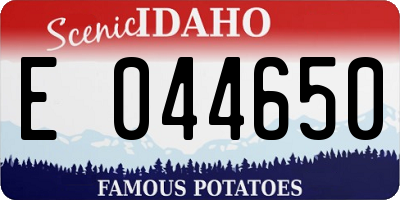 ID license plate E044650