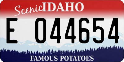 ID license plate E044654