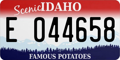 ID license plate E044658