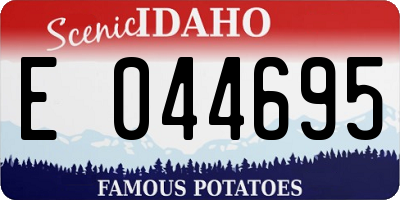 ID license plate E044695