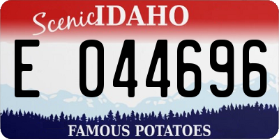 ID license plate E044696