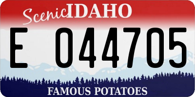 ID license plate E044705