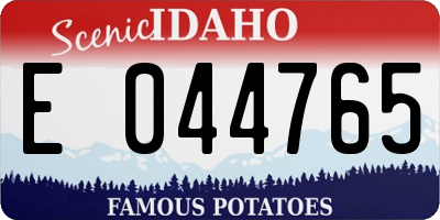 ID license plate E044765