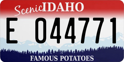 ID license plate E044771