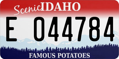 ID license plate E044784