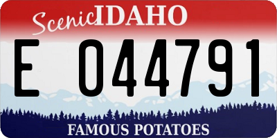 ID license plate E044791