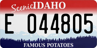 ID license plate E044805