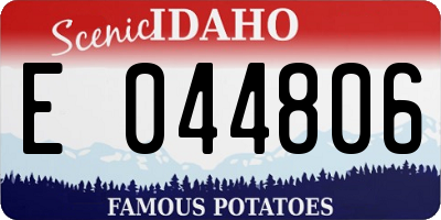 ID license plate E044806