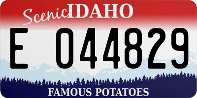 ID license plate E044829