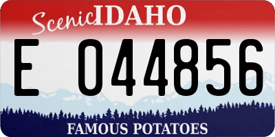 ID license plate E044856