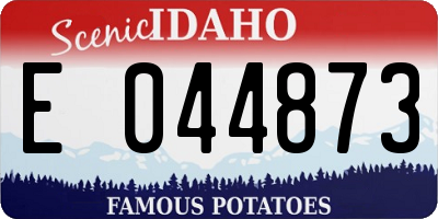 ID license plate E044873