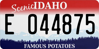 ID license plate E044875