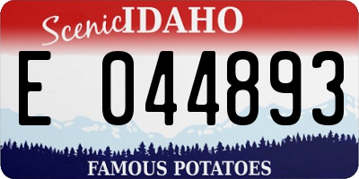 ID license plate E044893