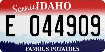 ID license plate E044909