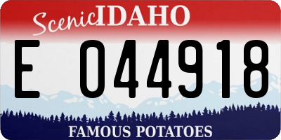 ID license plate E044918
