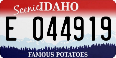 ID license plate E044919
