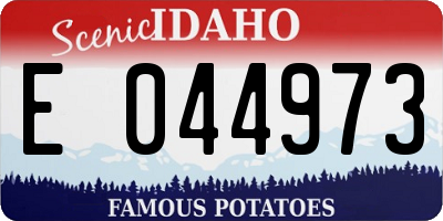 ID license plate E044973