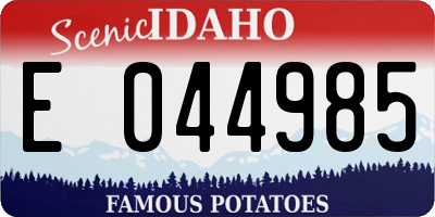 ID license plate E044985
