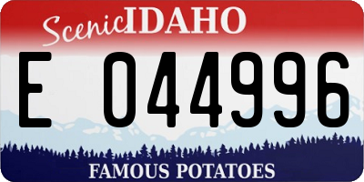 ID license plate E044996
