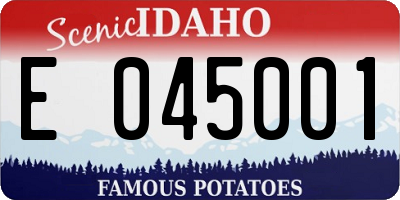 ID license plate E045001
