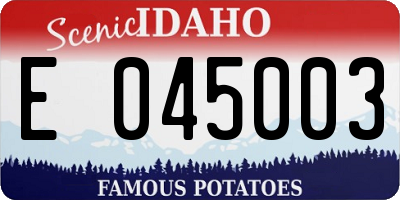 ID license plate E045003