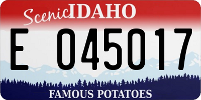 ID license plate E045017