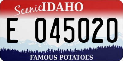 ID license plate E045020