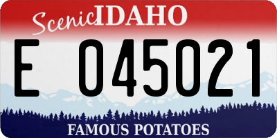 ID license plate E045021