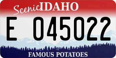 ID license plate E045022