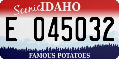 ID license plate E045032