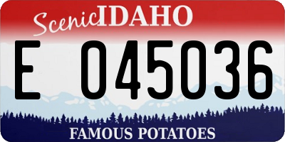 ID license plate E045036