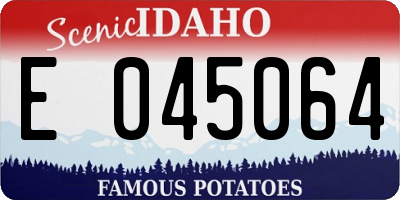 ID license plate E045064